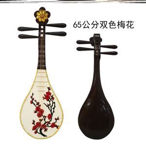 白色琵琶樂器與配件 選購指南與銷售信息